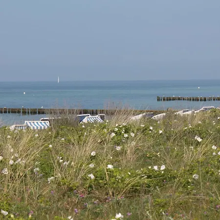 Peaceful Holiday In Near Baltic Sea Coast